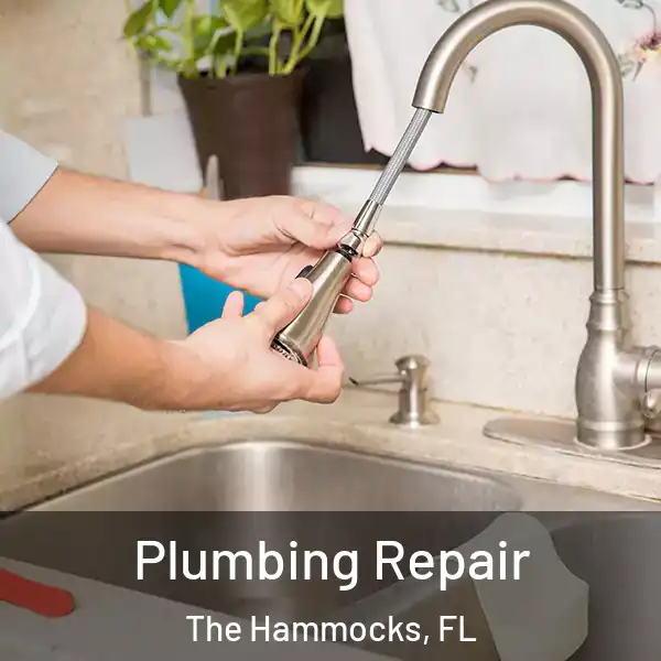  Plumbing Repair The Hammocks, FL