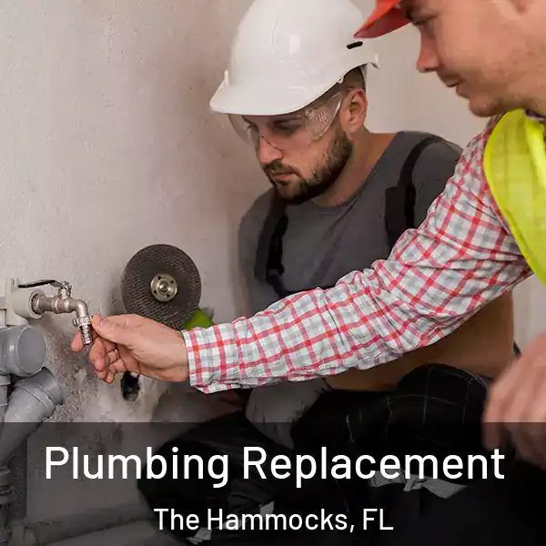  Plumbing Replacement The Hammocks, FL