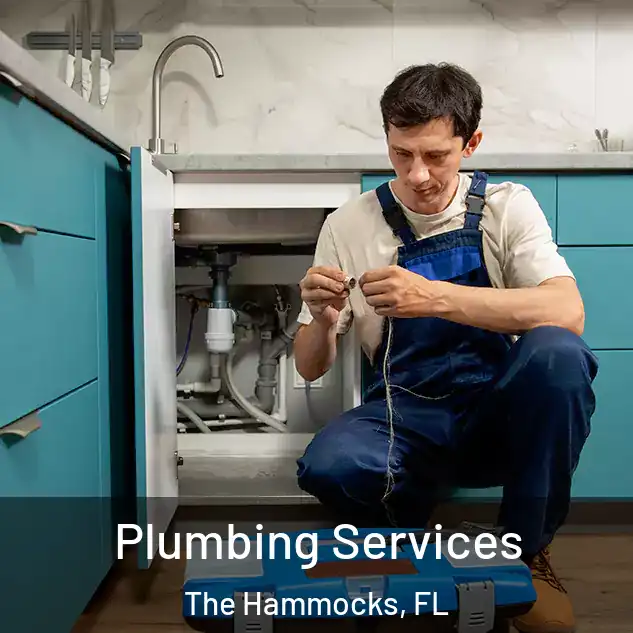 Plumbing Services The Hammocks, FL
