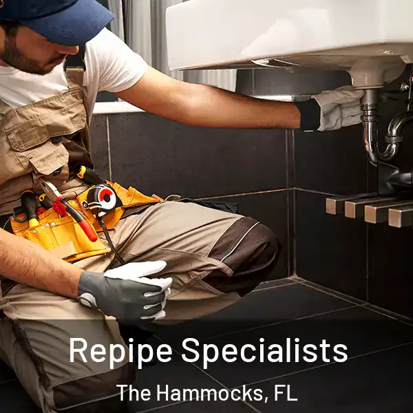  Repipe Specialists The Hammocks, FL