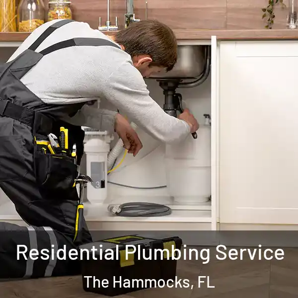  Residential Plumbing Service The Hammocks, FL