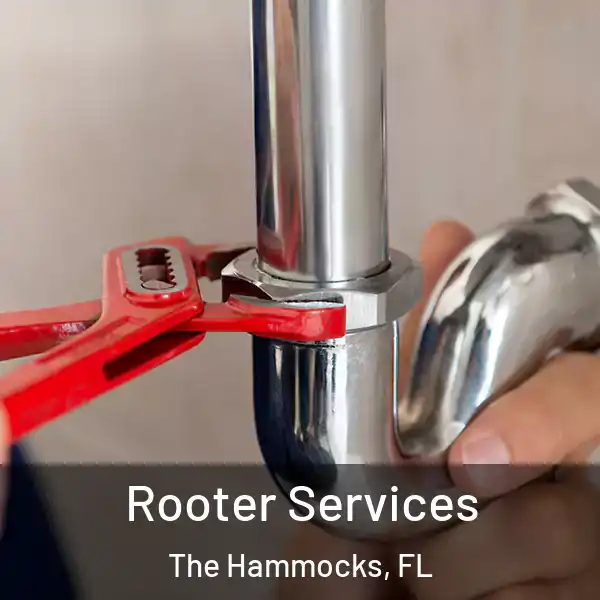  Rooter Services The Hammocks, FL