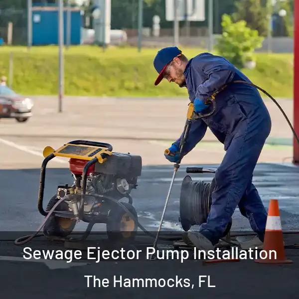  Sewage Ejector Pump Installation The Hammocks, FL