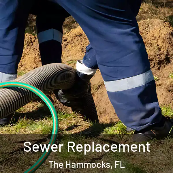  Sewer Replacement The Hammocks, FL