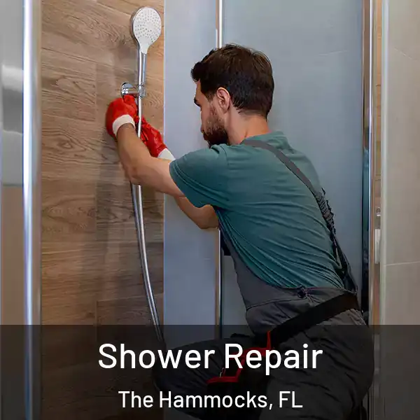  Shower Repair The Hammocks, FL