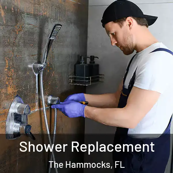  Shower Replacement The Hammocks, FL
