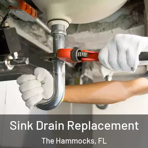  Sink Drain Replacement The Hammocks, FL