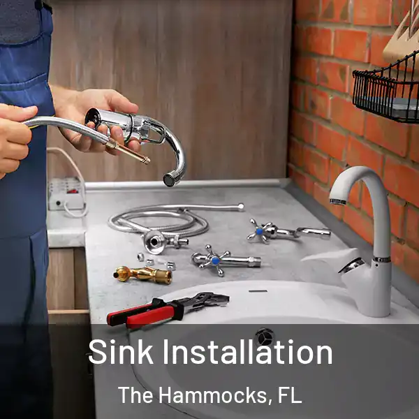  Sink Installation The Hammocks, FL