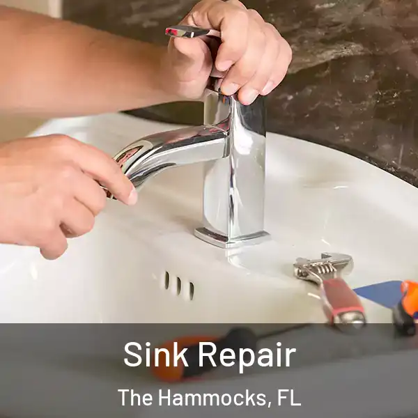  Sink Repair The Hammocks, FL