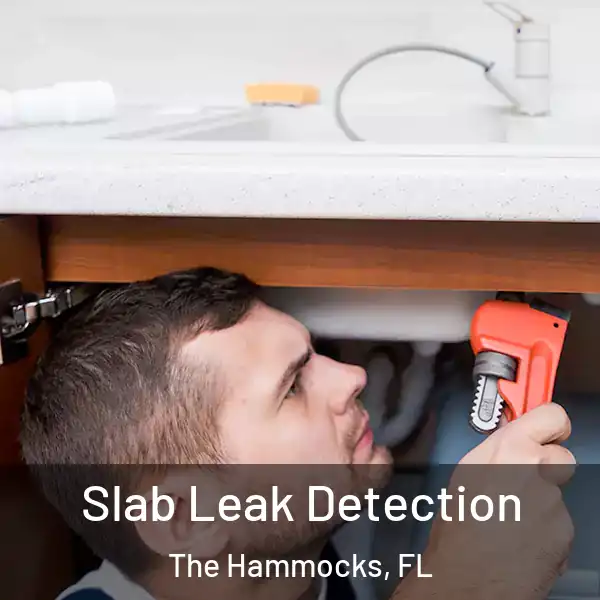 Slab Leak Detection The Hammocks, FL