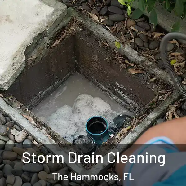  Storm Drain Cleaning The Hammocks, FL