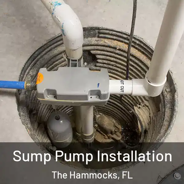  Sump Pump Installation The Hammocks, FL