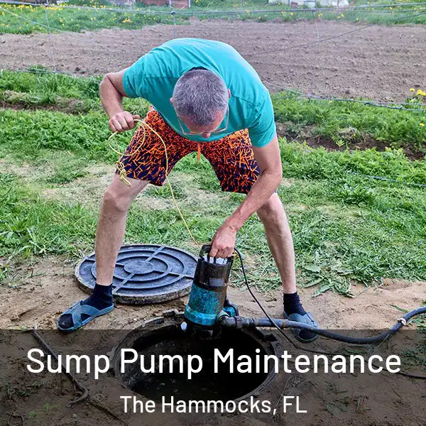  Sump Pump Maintenance The Hammocks, FL