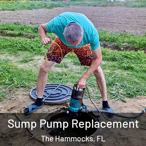  Sump Pump Replacement The Hammocks, FL