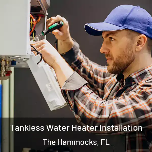  Tankless Water Heater Installation The Hammocks, FL