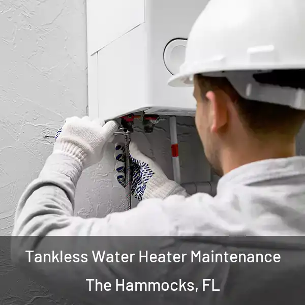  Tankless Water Heater Maintenance The Hammocks, FL