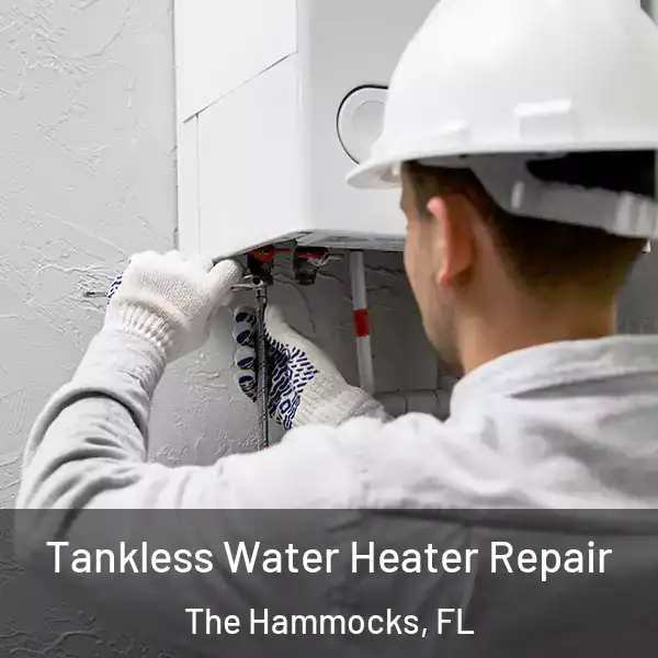  Tankless Water Heater Repair The Hammocks, FL