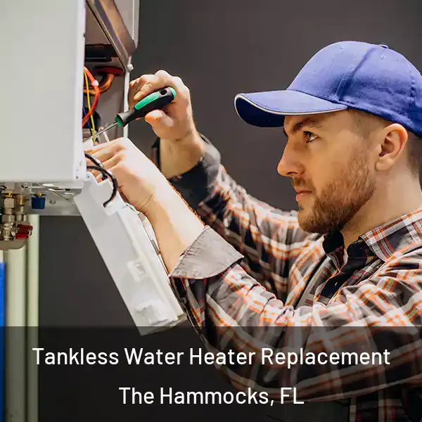  Tankless Water Heater Replacement The Hammocks, FL