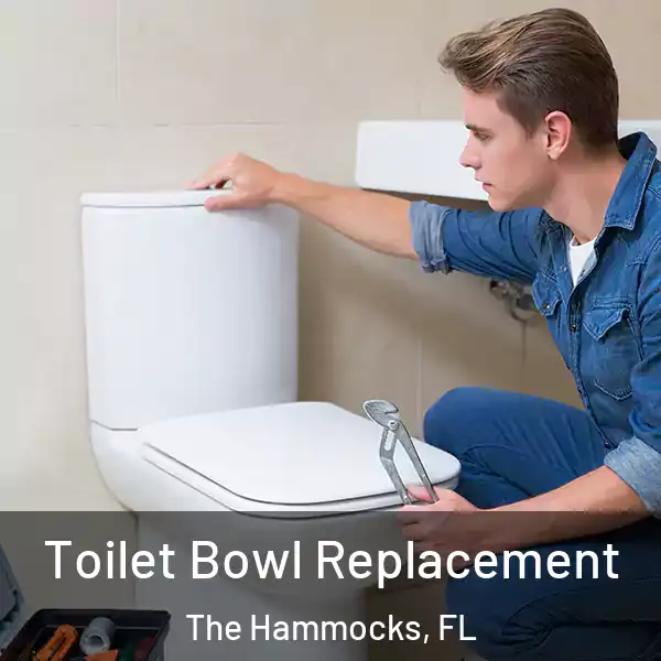  Toilet Bowl Replacement The Hammocks, FL
