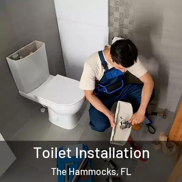  Toilet Installation The Hammocks, FL