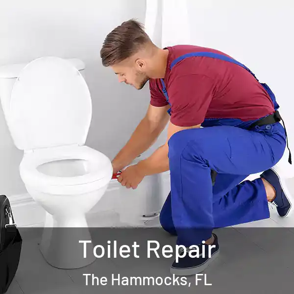  Toilet Repair The Hammocks, FL