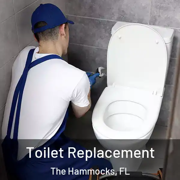  Toilet Replacement The Hammocks, FL