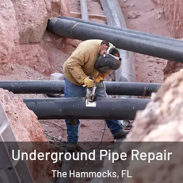  Underground Pipe Repair The Hammocks, FL