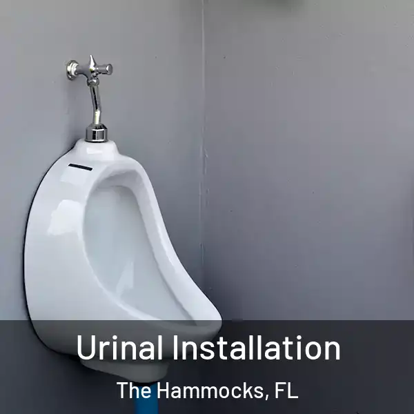  Urinal Installation The Hammocks, FL