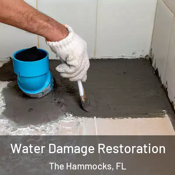  Water Damage Restoration The Hammocks, FL