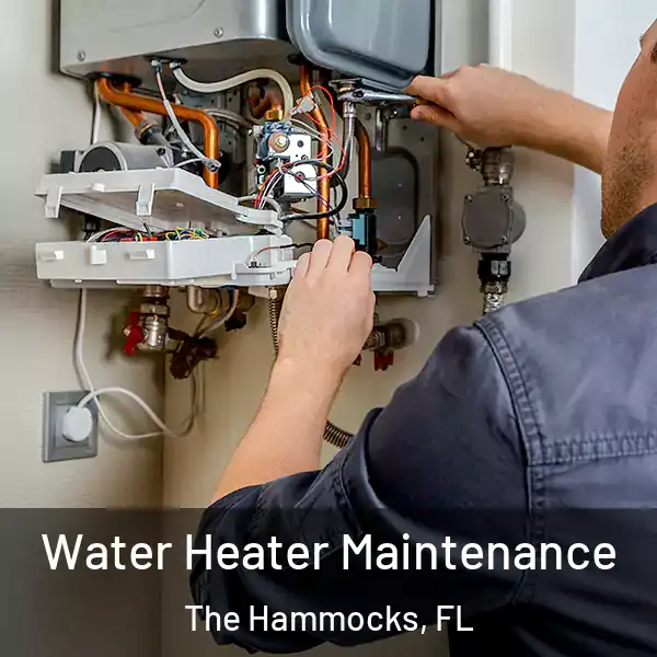  Water Heater Maintenance The Hammocks, FL