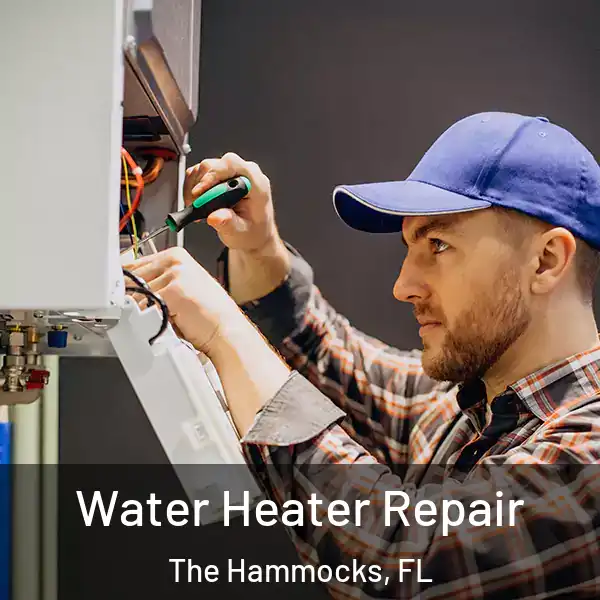 Water Heater Repair The Hammocks, FL