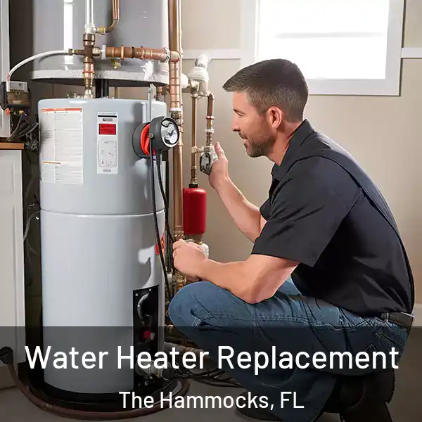  Water Heater Replacement The Hammocks, FL
