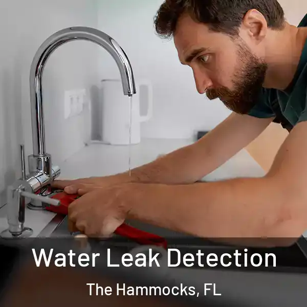  Water Leak Detection The Hammocks, FL