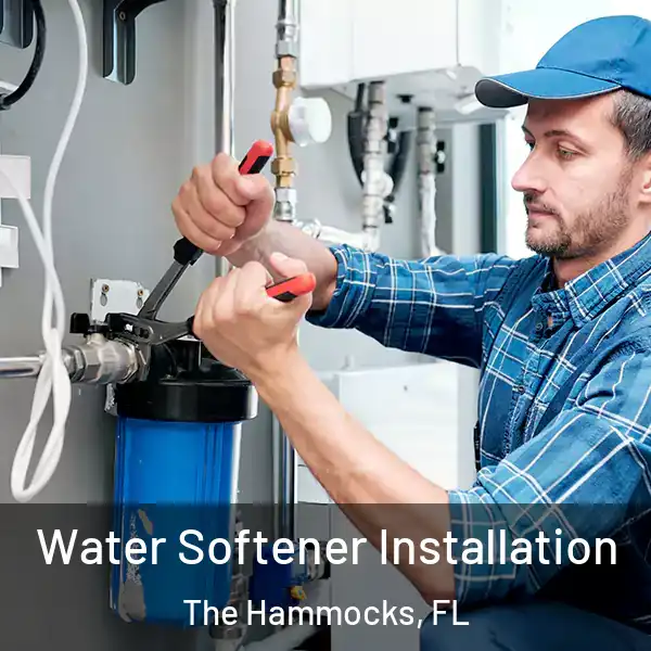  Water Softener Installation The Hammocks, FL