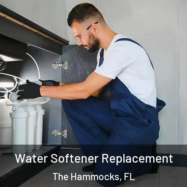  Water Softener Replacement The Hammocks, FL