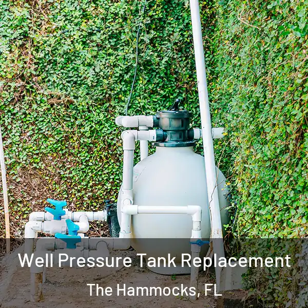  Well Pressure Tank Replacement The Hammocks, FL