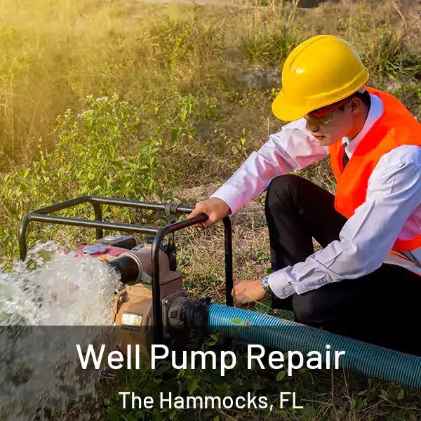  Well Pump Repair The Hammocks, FL
