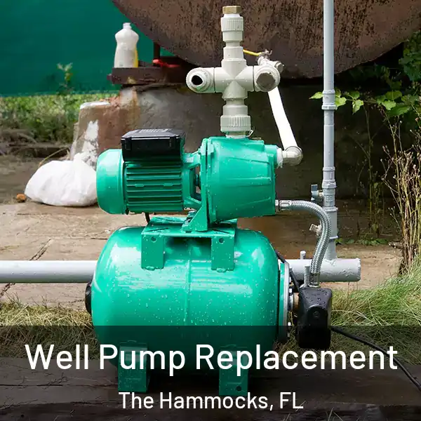  Well Pump Replacement The Hammocks, FL